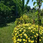 Sea View Suzana 자다르