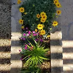 Sea View Suzana 아파트 자다르